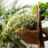 Corbeille pour plantes suspendues en rotin – Image 5