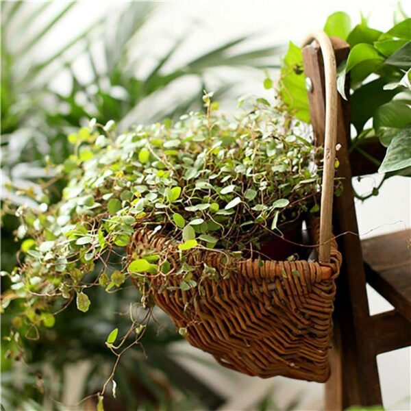 Corbeille pour plantes suspendues en rotin – Image 5