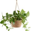 Jardinière suspendue de jardin – Image 5