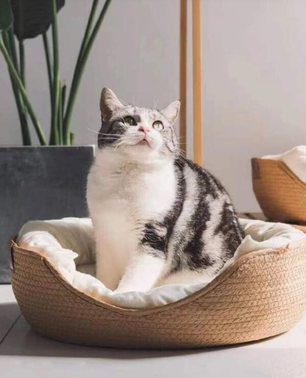 Panier circulaire pour animaux de compagnie – Image 5