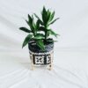 Porte plante en rotin tissé à la main – Image 4