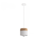 Suspension Bois LED et Moderne avec Aluminium