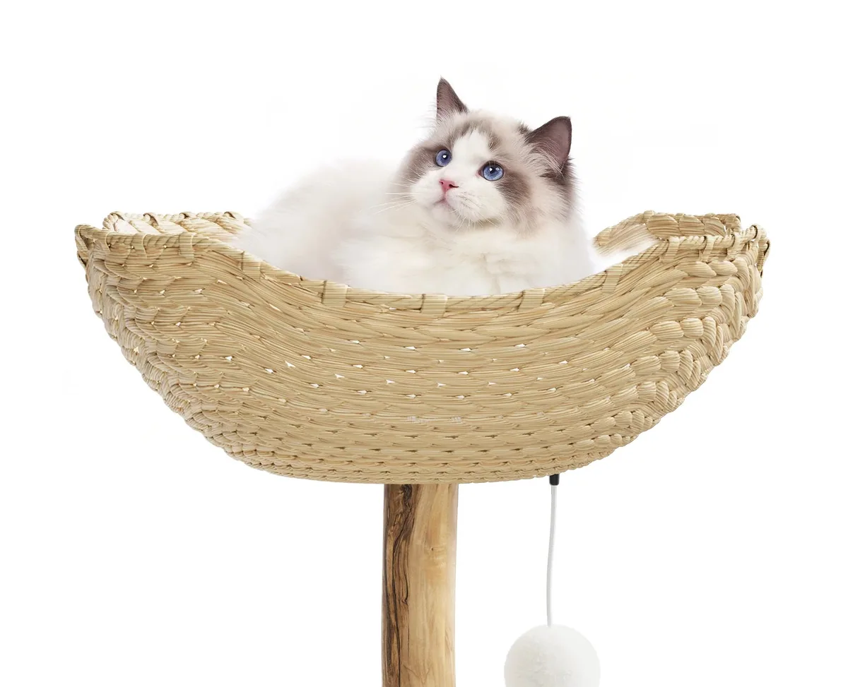 Arbre à chat en bois et osier multi-niveaux – Image 3