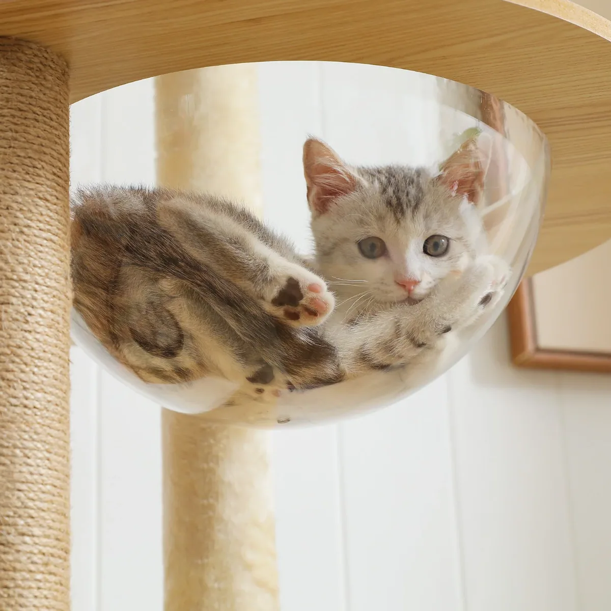 Arbre à chat en bois multi-niveaux rotin – Image 3