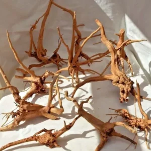 Branches de bois flotté naturel en forme d'araignée pour aquarium