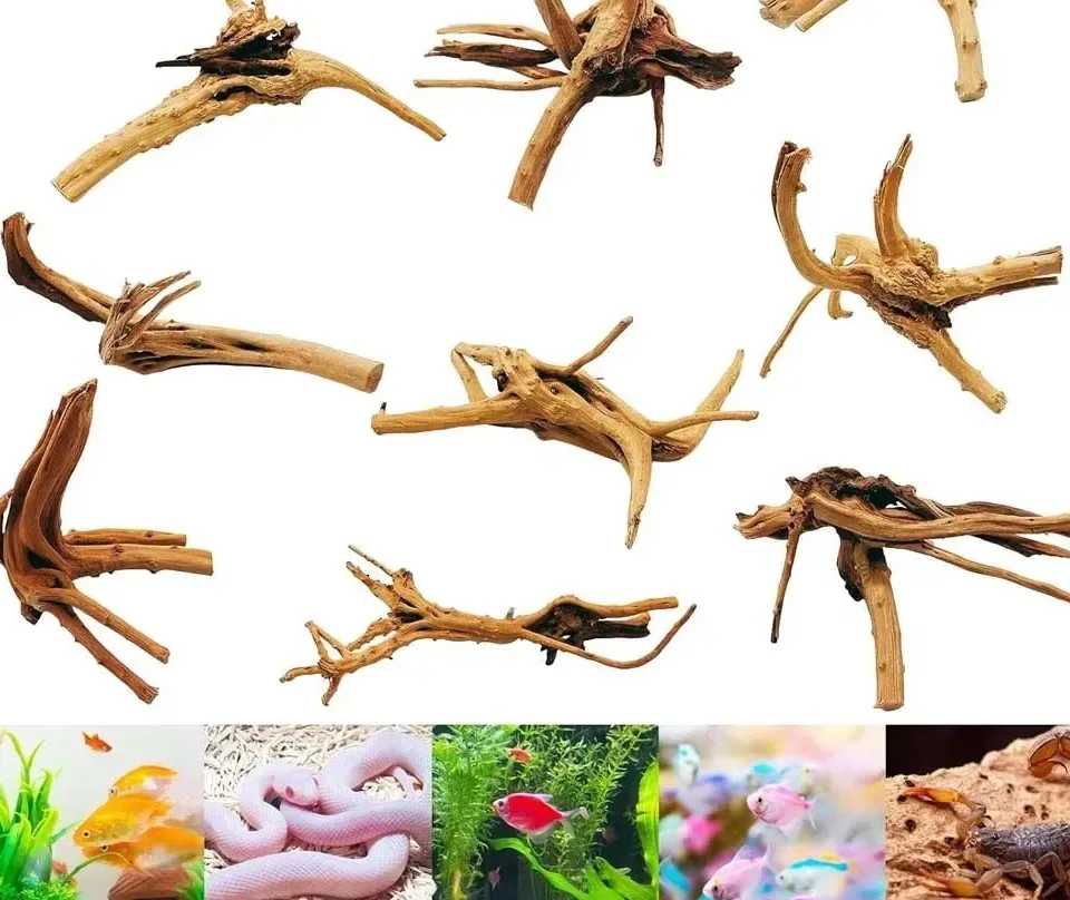 Branches de bois flotté naturel en forme d'araignée pour aquarium – Image 2