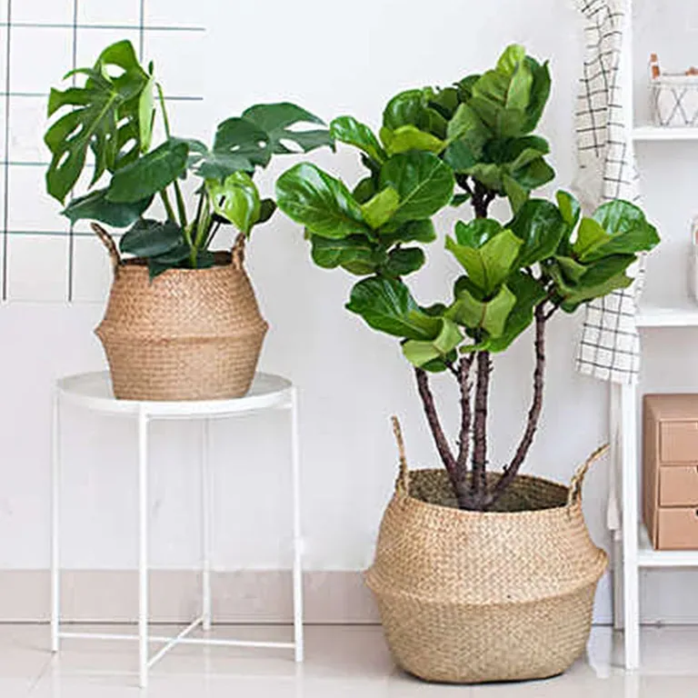 Cache-pot rotin suspendu Style 4 L pour plantes – Image 3