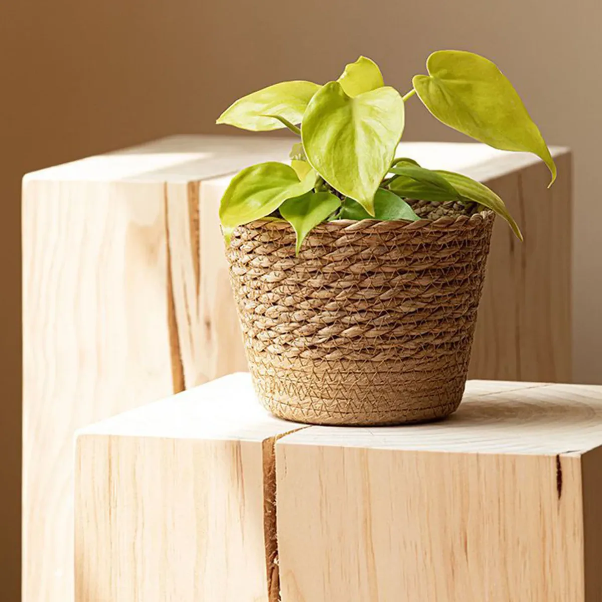 Cache-pot rotin tressé couleur rouge, modèle Planter – Image 5
