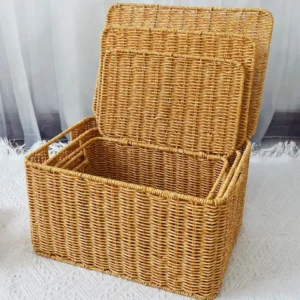 Panier de rangement rectangulaire en osier vert avec couvercle