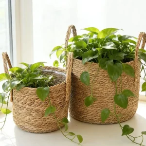 Panier en osier rotin pour plantes et rangement