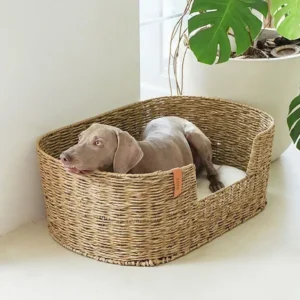 Panier en rotin pour chat et petit chien, intérieur coton