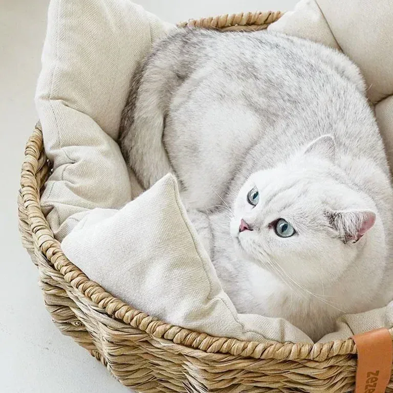 Panier en rotin pour chat et petit chien, intérieur coton – Image 3