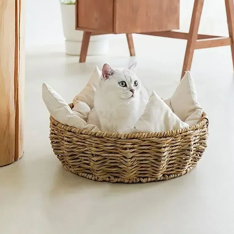 Panier en rotin pour chat et petit chien, intérieur coton – Image 4