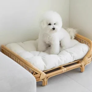 Panier en rotin tissé pour petits et moyens chiens
