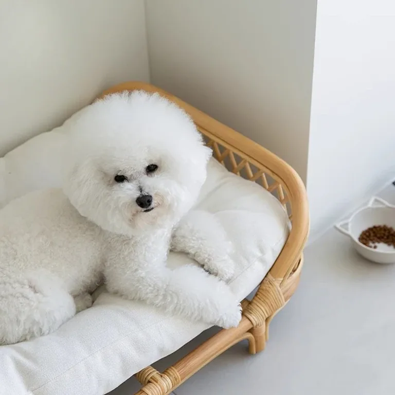 Panier en rotin tissé pour petits et moyens chiens – Image 3