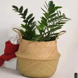 Panier pliable en fibre végétale pour rangement intérieur