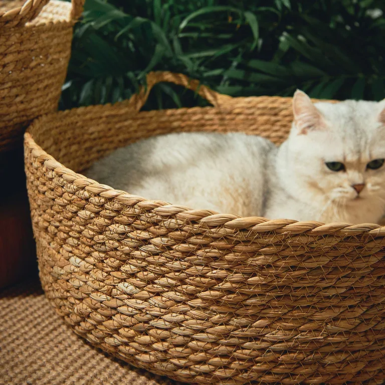 Panier rond en bambou respirant pour chat et chiot – Image 3