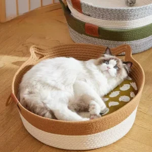Panier rond en rotin tissé pour chaton été