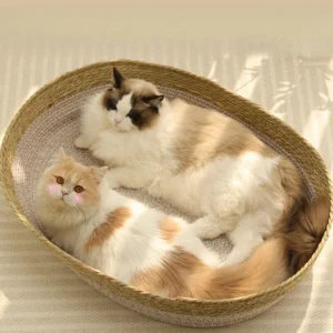 Panier tressé en fibre pour chat et petit chien