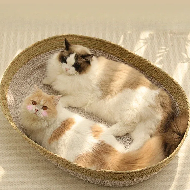Panier tressé en fibre pour chat et petit chien