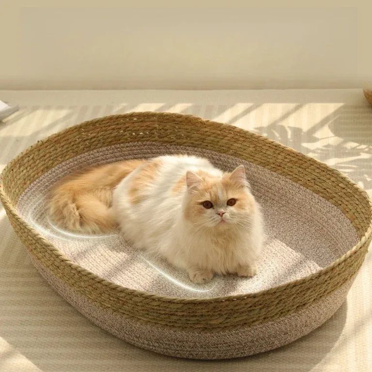 Panier tressé en fibre pour chat et petit chien – Image 2