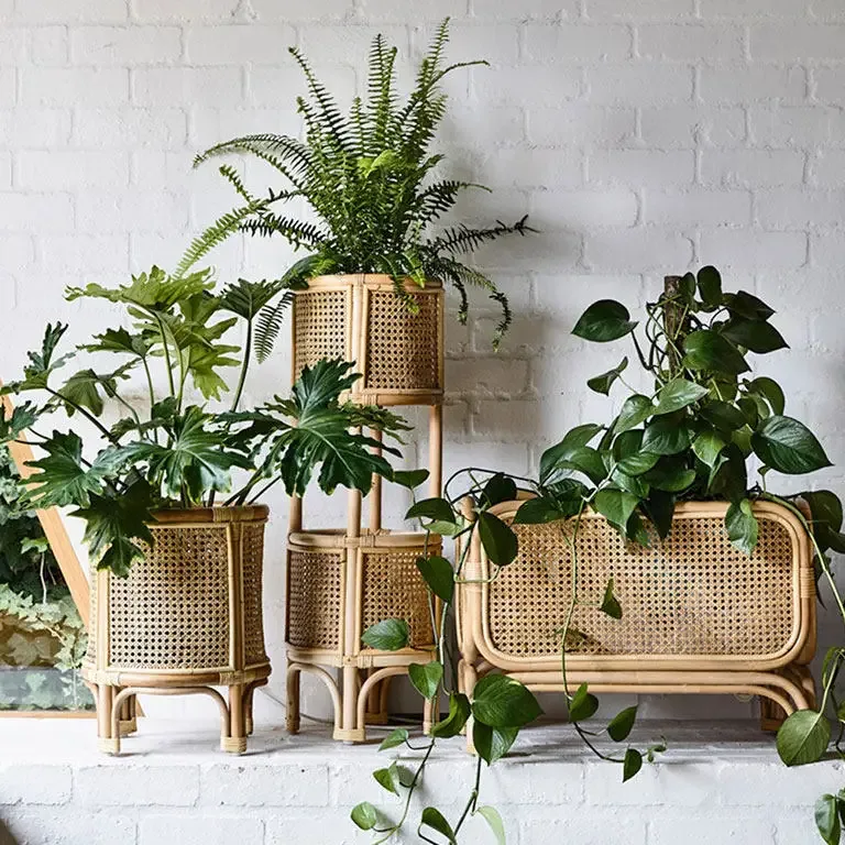 Porte-plantes en rotin naturel à plusieurs niveaux