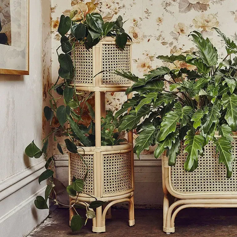 Porte-plantes en rotin naturel à plusieurs niveaux – Image 2