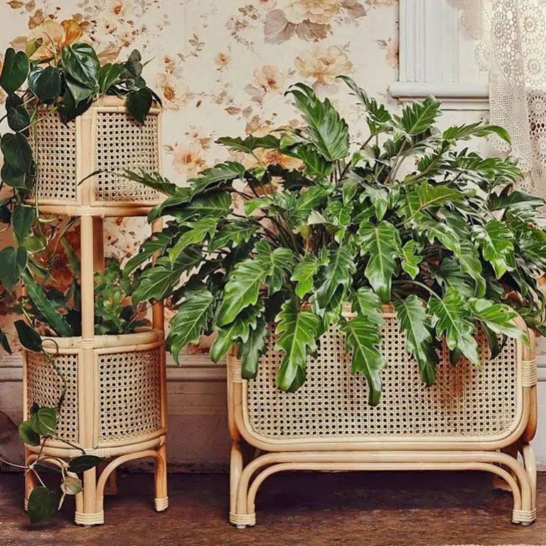 Porte-plantes en rotin naturel à plusieurs niveaux – Image 4