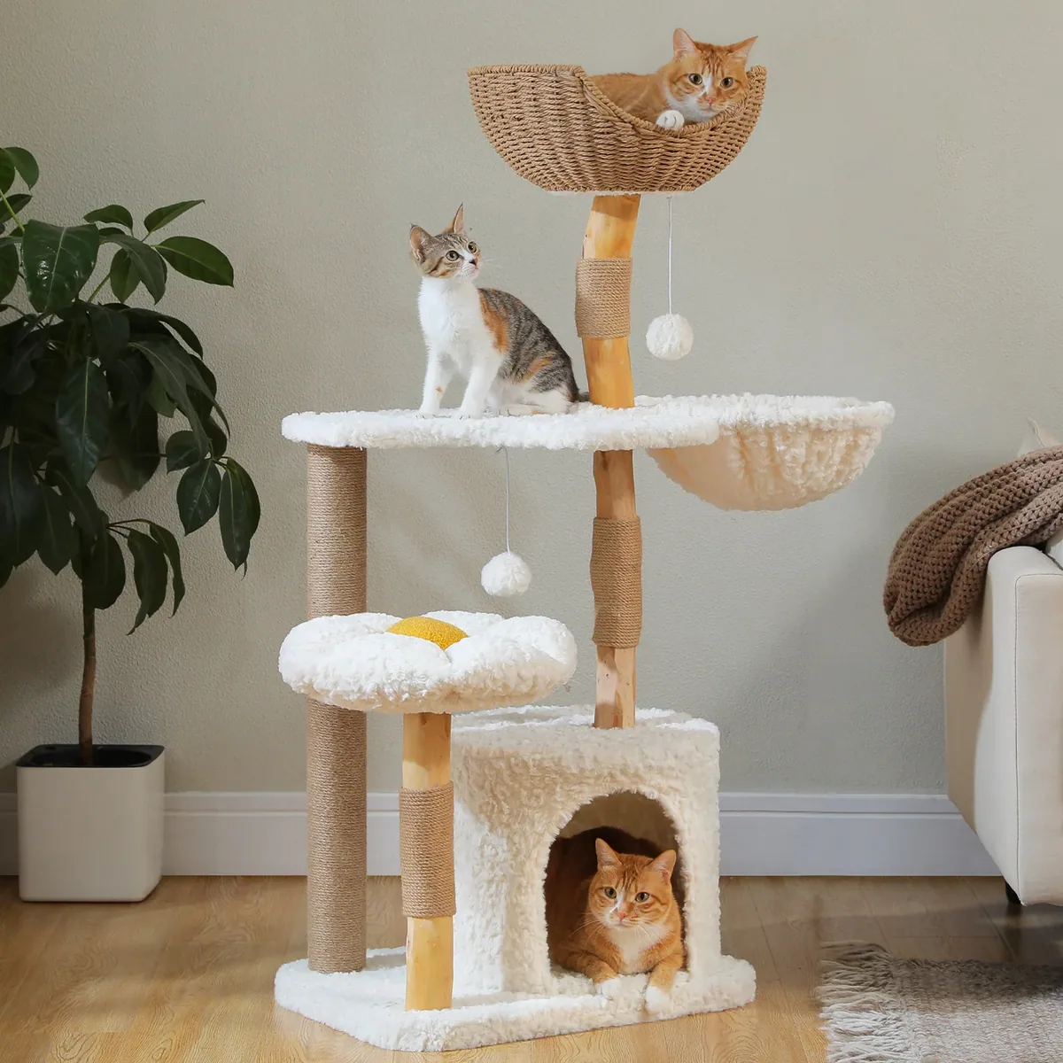 Tour à chat en bois massif quatre niveaux blanc
