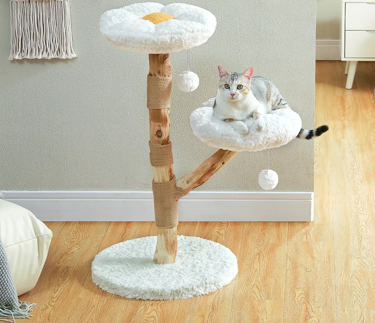 Tour à chat moderne en bois et sisal