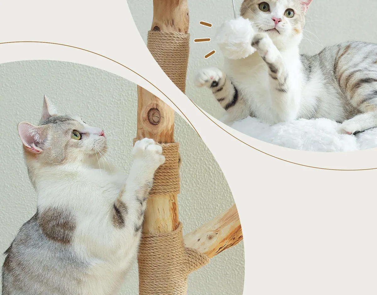 Tour à chat moderne en bois et sisal – Image 3