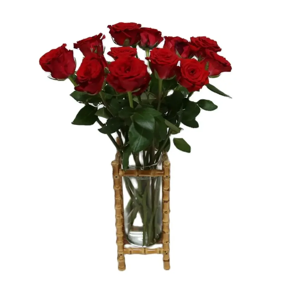 Vase décoratif bambou et racine T1 pour propagation – Image 4